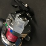 キャタリナBJ100